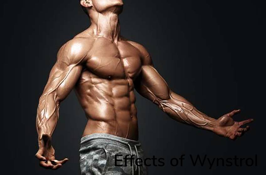 Effects of Wynstrol