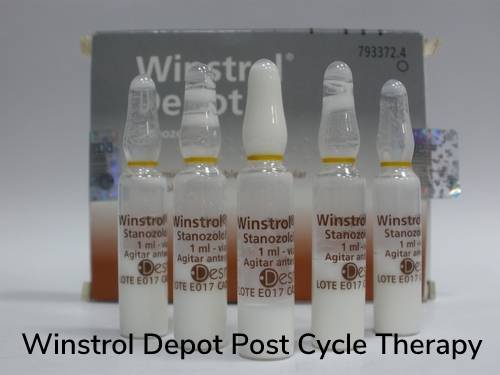 Winstrol Depot Post Cycle Therapy