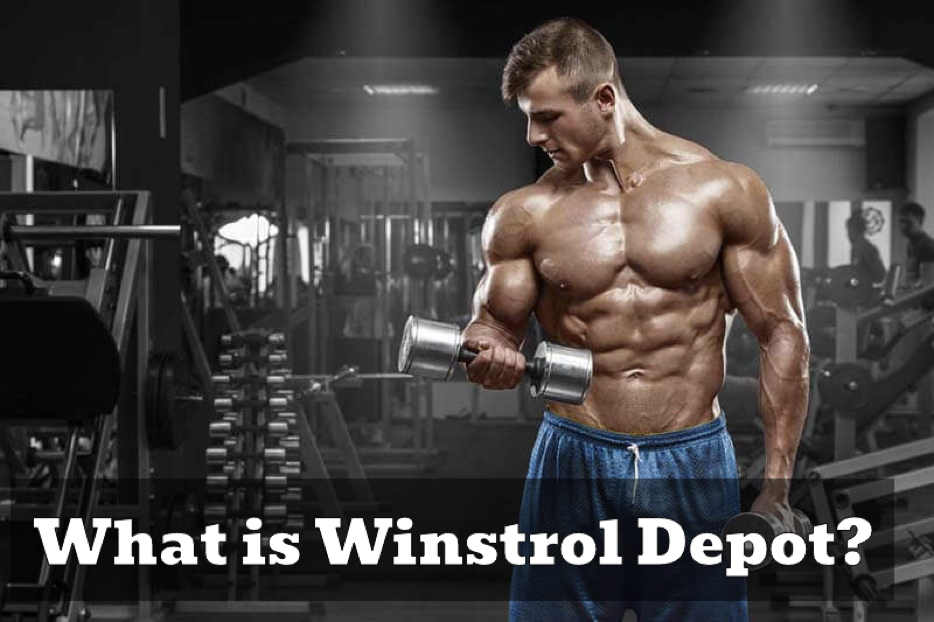Winstrol Depot: Why Does Bodybuilders use This Steroids?